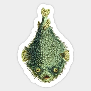 Spiky porcupinefish, green and mean looking with creepy yellow eyes. Sticker